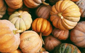 Quelle différence entre citrouille et potiron ?