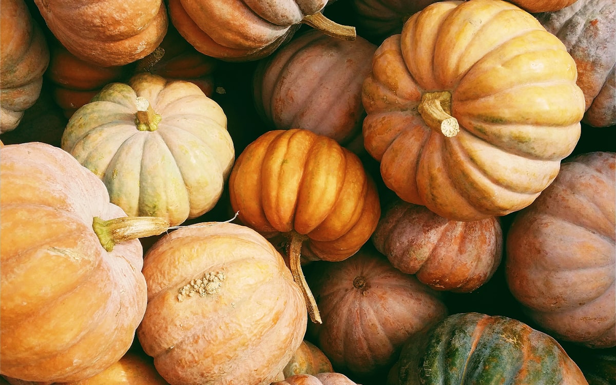 Citrouilles et potirons d'automne